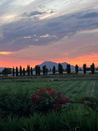 Casa independiente en Polígono 2 Parcela 144 s/n