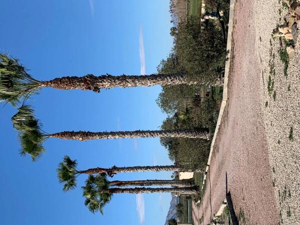 Casa rural en vereda Sobreviñas, 37