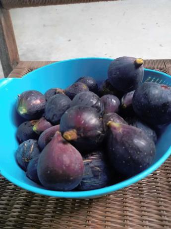 Chalet en vereda la Colegiala, 75