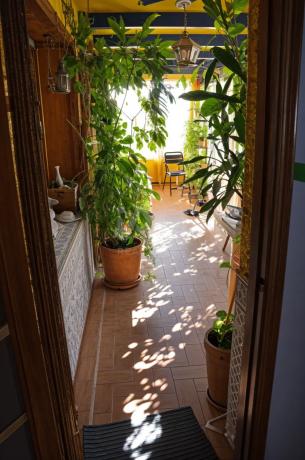 Chalet en Formentera del Segura