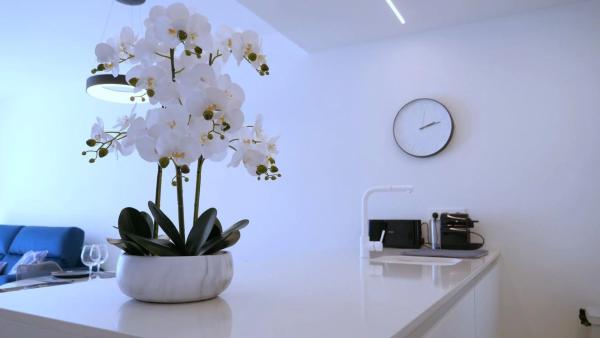 Dúplex en calle el Tomello