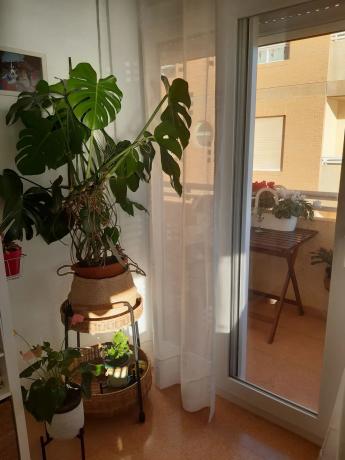 Piso en calle Azorín, 2