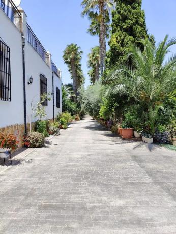 Casa rural en senda Molina, 15