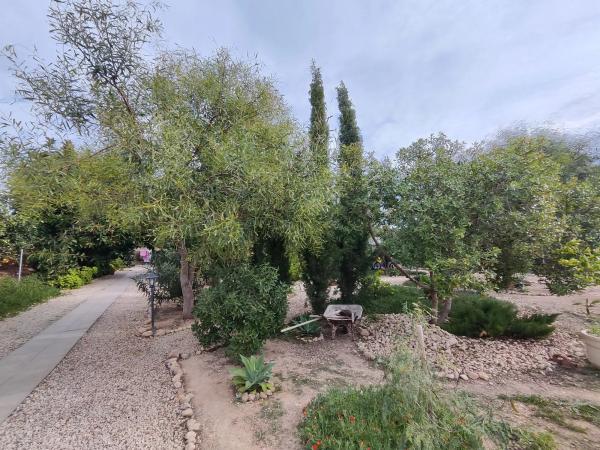 Casa independiente en la murada