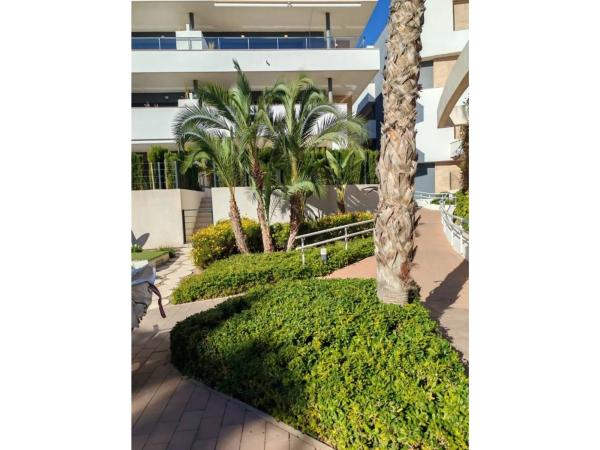 Ático en Orihuela Ciudad