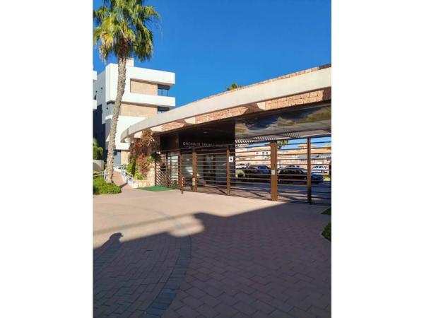 Ático en Orihuela Ciudad