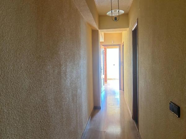 Ático en Orihuela Ciudad