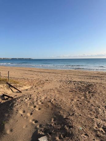 Estudio en Barrio Campoamor