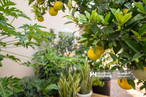 Chalet en calle Rubí