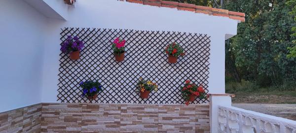 Chalet pareado en avenida de las Nereidas, 1