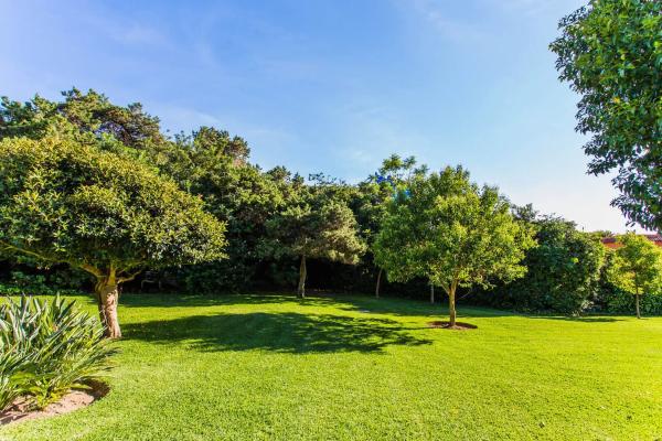 Estudio en Barrio Marbesa