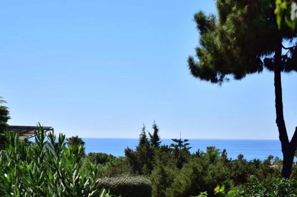 Finca rústica en Urbanización Marbesa