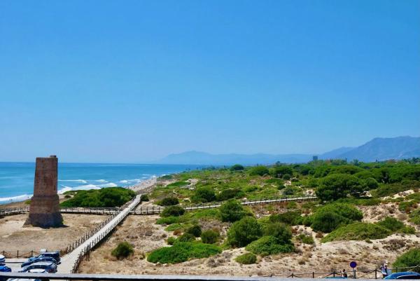 Estudio en Puerto de Cabopino
