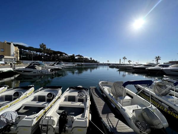 Estudio en Puerto de Cabopino