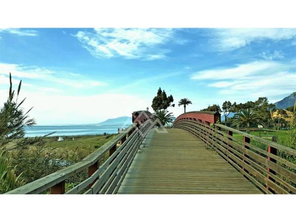 Estudio en calle de Las Golondrinas, 30 -24