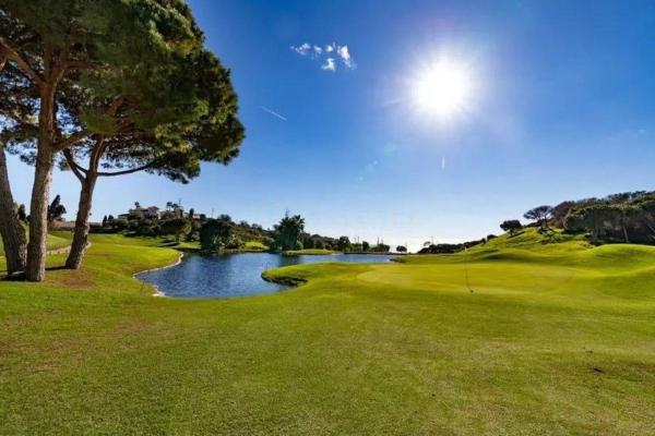 Chalet adosado en avenida de los Acebos