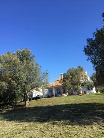 Casa independiente en los leñadores, 1111111111