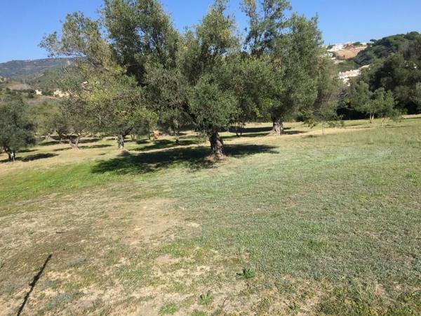 Casa independiente en los leñadores, 1111111111