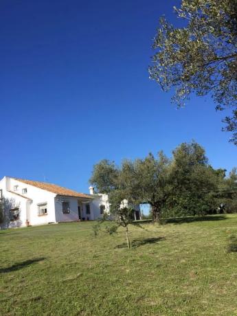 Casa independiente en los leñadores, 1111111111