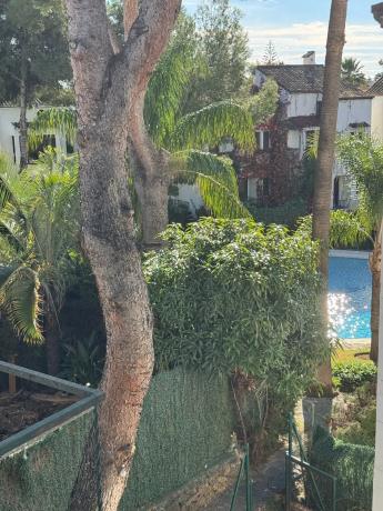 Chalet adosado en avenida las Palmeras, 17