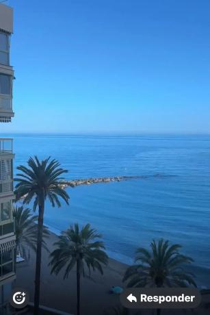 Piso en avenida Ricardo Soriano, 60