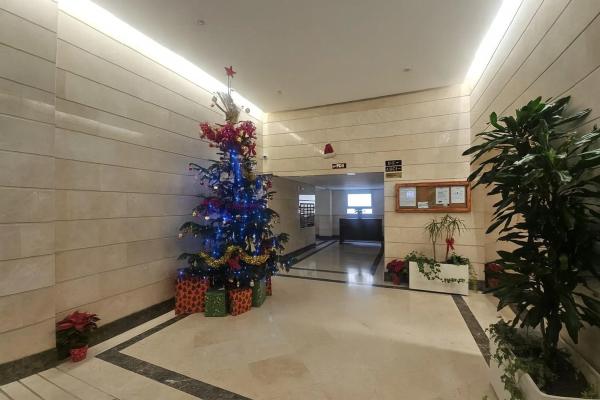 Piso en avenida Antonio Belón