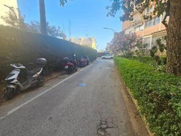 Estudio en avenida las Palmeras