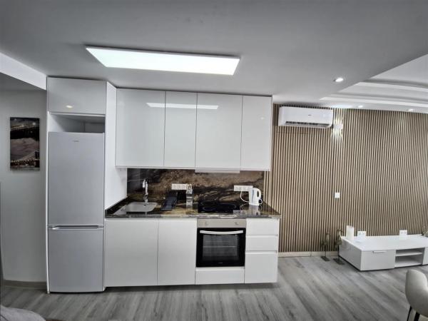 Piso en avenida Ricardo Soriano, 35