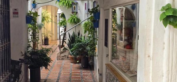 Dúplex en calle Ancha