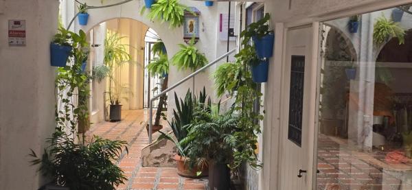 Dúplex en calle Ancha