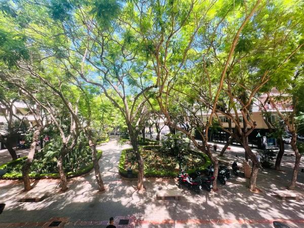 Piso en plaza del Delfín, 5