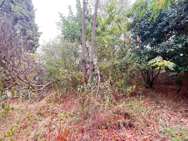 Casa independiente en calle Hungría, 24