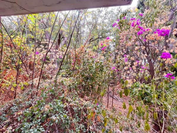 Casa independiente en calle Hungría, 24