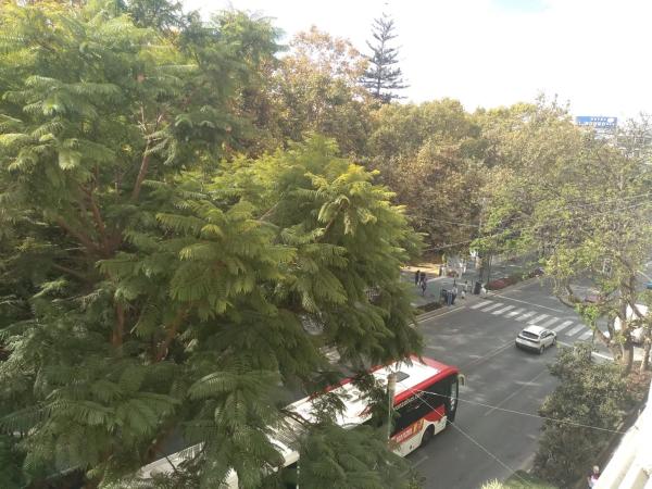 Piso en calle Padre Francisco Echamendi, 7