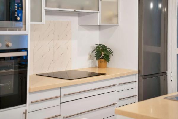 Piso en avenida Conde Rudi