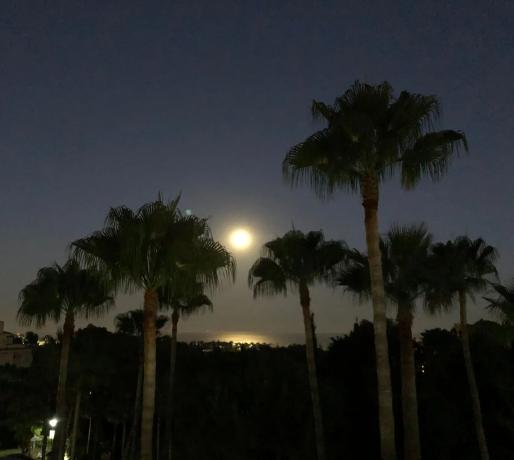 Piso en camino de Camojan, 1