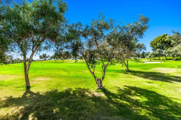 Chalet adosado en Urbanización los Olivos I, 5