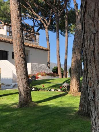 Dúplex en Urbanización Los Pinos de Aloha, 10