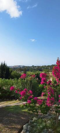 Piso en calle Londres, 1
