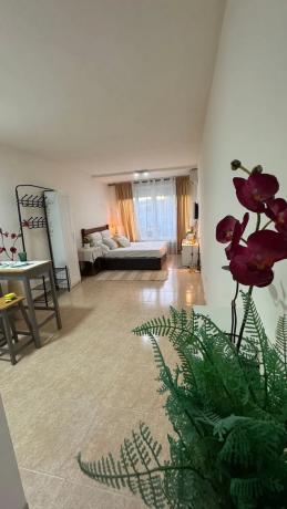 Estudio en plaza Pedro Antonio de Alarcón, 1