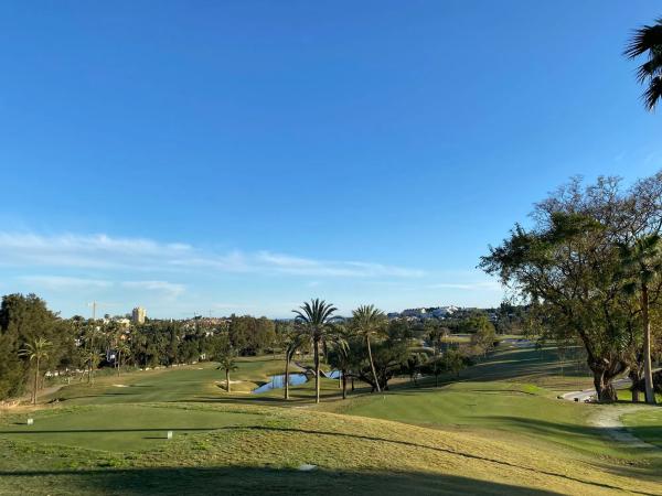 Estudio en calle Londres s/n