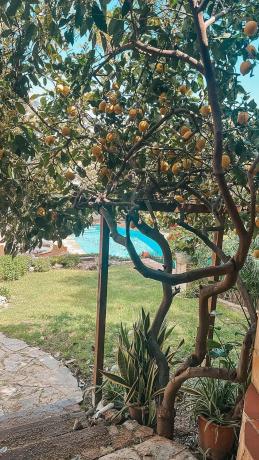 Casa independiente en calle el Califa