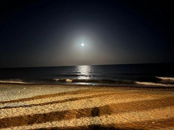 Chalet pareado en calle los Jazmines, 17