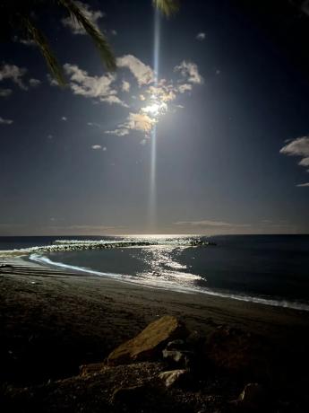 Chalet pareado en calle los Jazmines, 17