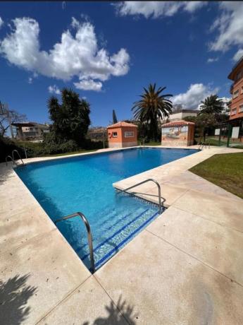 Estudio en calle Orquídea, 2