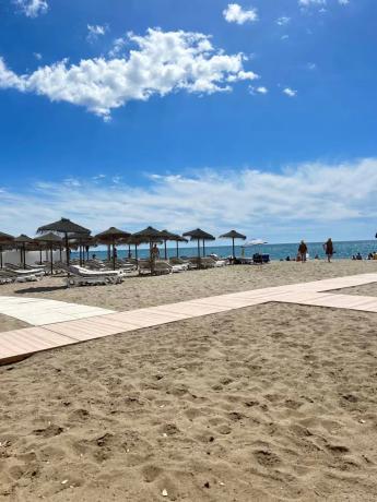 Estudio en calle Orquídea, 2