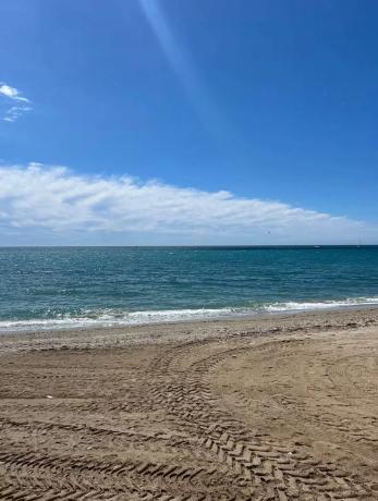 Estudio en calle Orquídea, 2