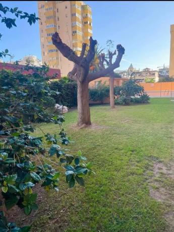 Piso en Centro Ciudad