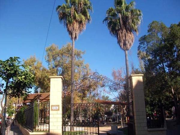 Piso en calle Cuesta