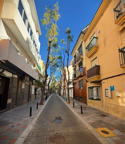 Estudio en calle Santísima Trinidad